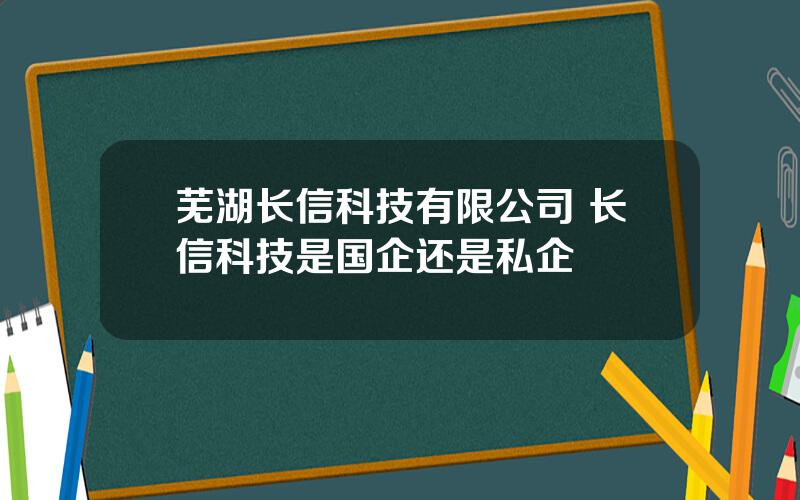 芜湖长信科技有限公司 长信科技是国企还是私企